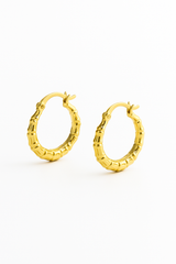 Hollow Earring