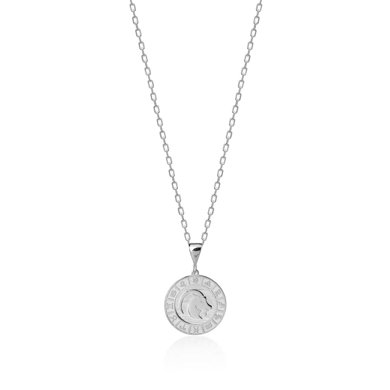 Capricorn Zodiac Necklace